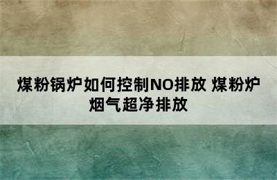 煤粉锅炉如何控制NO排放 煤粉炉烟气超净排放